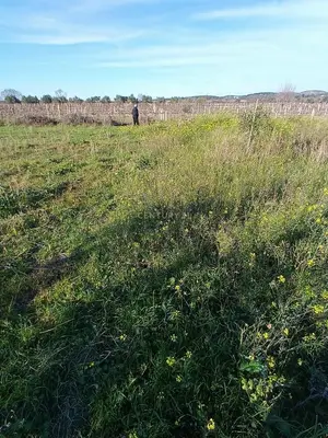 Tokë në shitje në Panaja, Vlorë, 1 000 m². Foto 5 nga 9