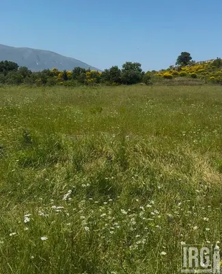 Terreno in vendita a Tragjas, Valona, 21.000 m². Foto 2 di 2
