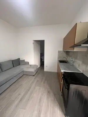 Apartament 1+1 me qera në Brryli, Tiranë, 50 m². Foto 3 nga 7