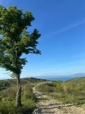 Land for sale in Shetaj, Durrës, 13,500 m². Photo 3 of 5