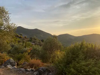 Shtëpi private në shitje në Ullinjtë e Tujanit Ancient Oliven Tree, Tiranë, 70 m². Foto 7 nga 7
