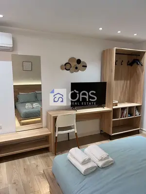 Studio for rent in Rruga e Durrësit, Tirana, 40 m². Photo 12 of 12