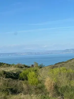 Land for sale in Shetaj, Durrës, 13,500 m². Photo 5 of 5