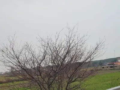 Tokë në shitje në Gjiri i Lalzit, Durrës, 1 000 m². Foto 3 nga 7