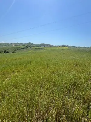 Tokë në shitje në Pjeze, Durrës, 8 000 m². Foto 3 nga 5