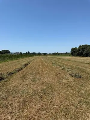Land for sale in Bushnesh, Krujë, 4,000 m². Photo 1 of 3