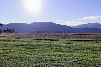 Tokë në shitje në Picalle, Tiranë, 6 000 m². Foto 2 nga 3