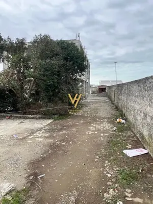 Warehouse for rent in Bashkia, Kavajë, 400 m². Photo 2 of 3