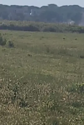 Tokë në shitje në Gjiri i Lalzit, Durrës, 6 000 m². Foto 5 nga 7