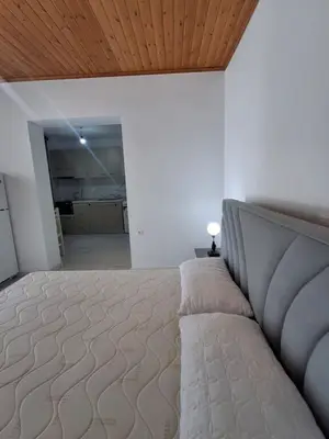 Studio for rent in Rruga e re, Vlorë, 50 m². Photo 10 of 12