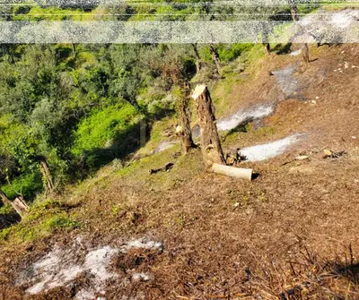 Tokë në shitje në Lukove, Sarandë, 650 m². Foto 3 nga 8