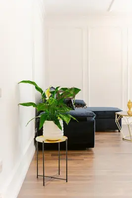 Appartamento 1+1 in affitto ad Astir, Tirana, 75 m². Foto 2 di 12