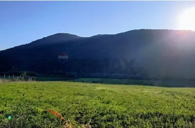 Tokë në shitje në Picalle, Tiranë, 6 000 m². Foto 3 nga 3