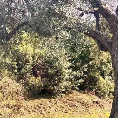 Terreno in vendita a Lukove, Saranda, 1.000 m². Foto 2 di 3