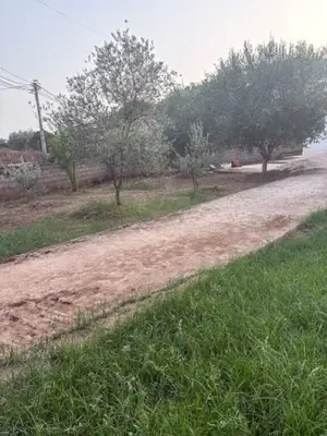 Tokë në shitje në Plazhi Ksamilit, Ksamil, 407 m². Foto 9 nga 12