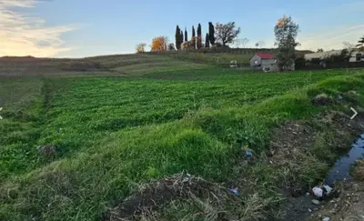 Land for sale in Pjeze, Durrës, 9,000 m². Photo 2 of 3