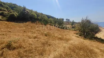 Tokë në shitje në Priske e Madhe, Tiranë, 3 000 m². Foto 1 nga 4