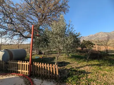 Villa in vendita a Tragjas, Valona, 3.500 m². Foto 7 di 12