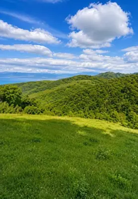Tokë në shitje në Kepi i Rodonit, Durrës, 6 600 m². Foto 1 nga 3