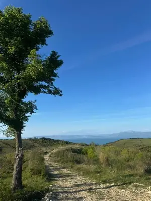 Land for sale in Shetaj, Durrës, 13,500 m². Photo 2 of 5