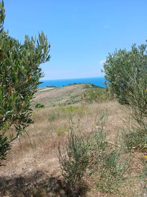 Tokë në shitje në Shetaj, Durrës, 14 600 m²