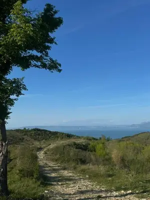 Land for sale in Shetaj, Durrës, 13,500 m². Photo 4 of 5