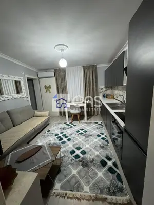 Apartament 1+1 me qera në Rruga e Dibrës, Tiranë, 45 m². Foto 8 nga 11