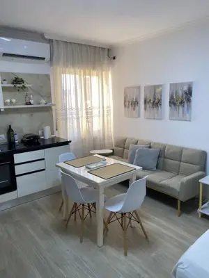 Studio for rent in Rruga e Bogdanëve, Tirana, 30 m². Photo 3 of 4