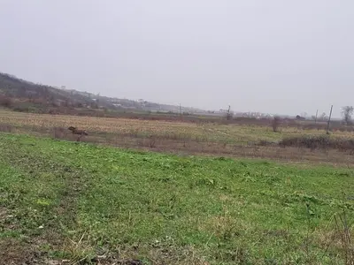 Tokë në shitje në Gjiri i Lalzit, Durrës, 1 000 m². Foto 7 nga 7