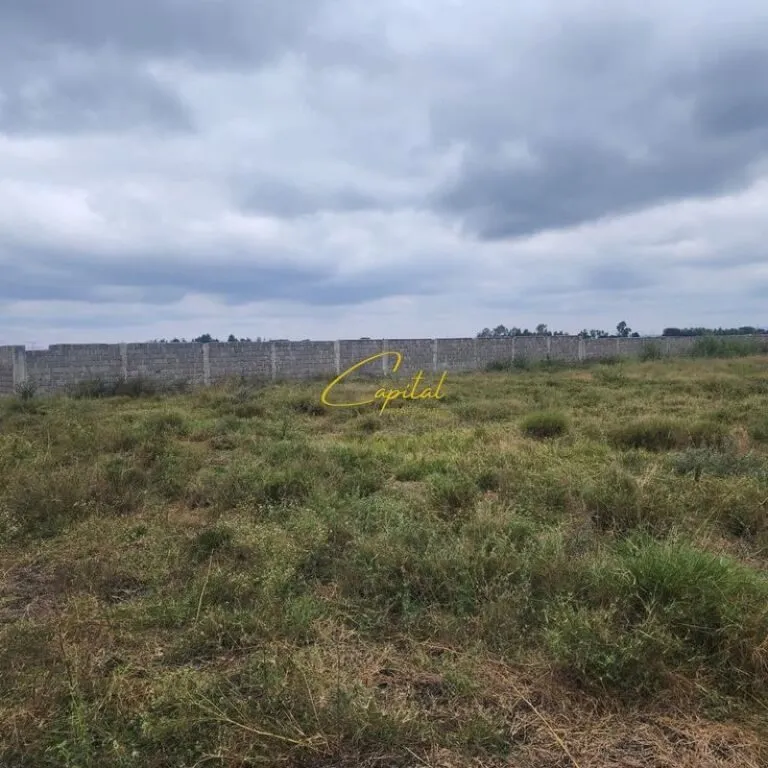 Land for rent in Yrshek, Tirana, 925 m². Photo 1 of 1