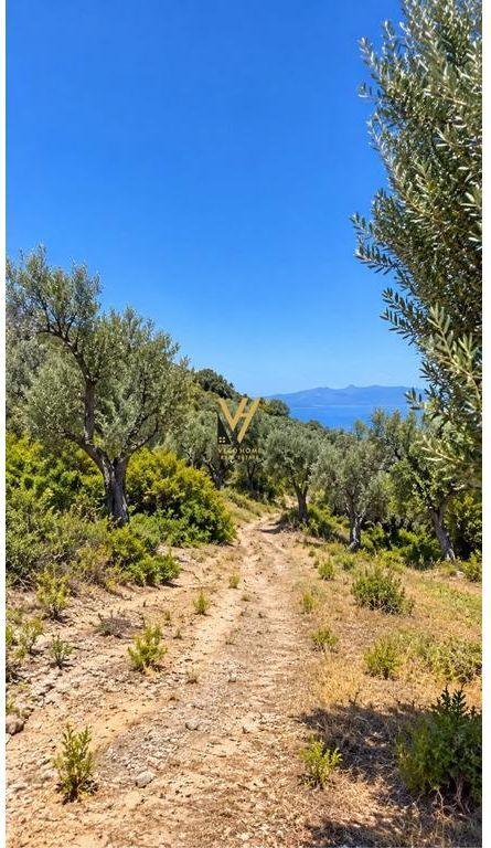 Terreno in vendita a Piqeras Beach, Saranda, 500 m²