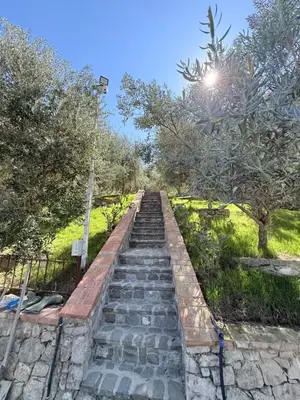 Vilë me qera në Petrelë, Tiranë, 180 m². Foto 8 nga 9