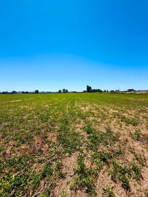Land for sale in Fllake, Durrës, 15,150 m². Photo 4 of 6