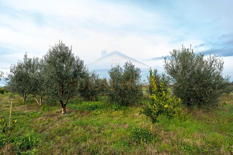 Shtëpi private në shitje në KATUND RI, Durrës, 9 480 m². Foto 5 nga 12