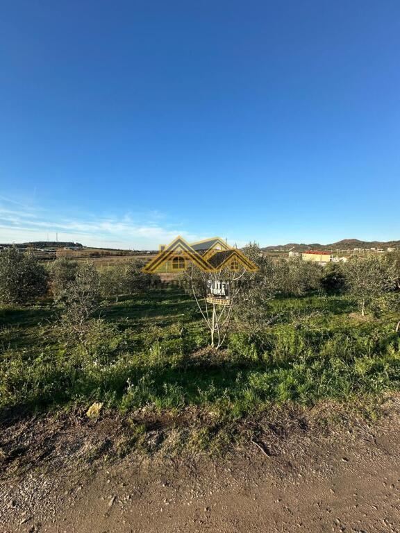 Tokë në shitje në Manez, Durrës, 6 350 m². Foto 8 nga 9