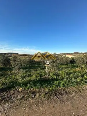 Land for sale in Manez, Durrës, 6,350 m². Photo 8 of 9