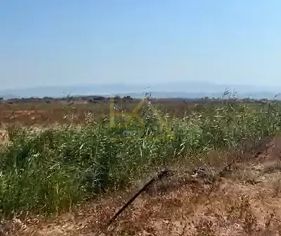 Tokë në shitje në Sektori Rinia, Durrës, 10 000 m². Foto 2 nga 3