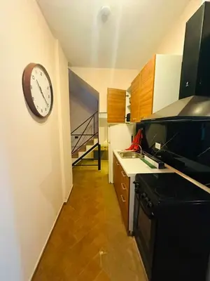 Apartament 4+1 me qera në Rruga e Durrësit, Tiranë, 250 m². Foto 2 nga 10