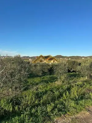 Land for sale in Manez, Durrës, 6,350 m². Photo 5 of 9