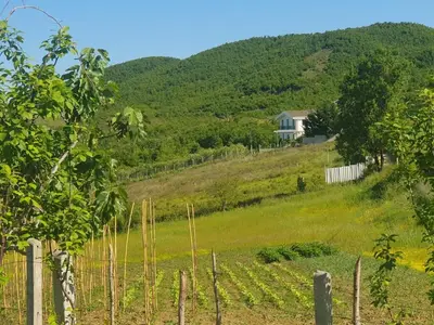 Tokë në shitje në Gjiri i Lalzit, Durrës, 870 m². Foto 3 nga 4