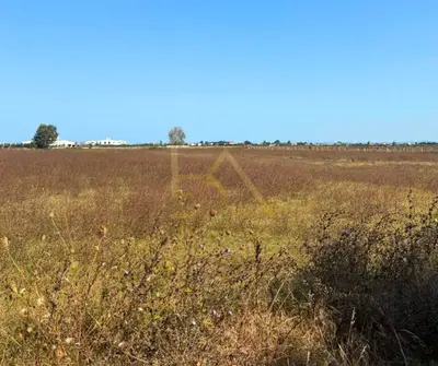 Tokë në shitje në Bisht Kamez, Durrës, 7 000 m². Foto 4 nga 6