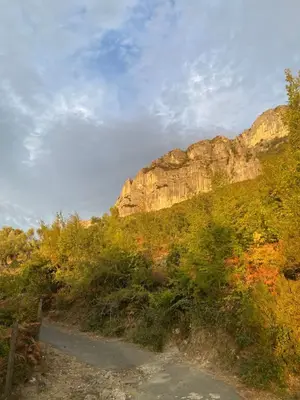 Shtëpi private në shitje në Ullinjtë e Tujanit Ancient Oliven Tree, Tiranë, 70 m². Foto 5 nga 7
