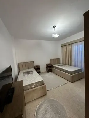 Apartament 2+1 me qera në Rruga Dritan Hoxha, Tiranë, 100 m². Foto 3 nga 6