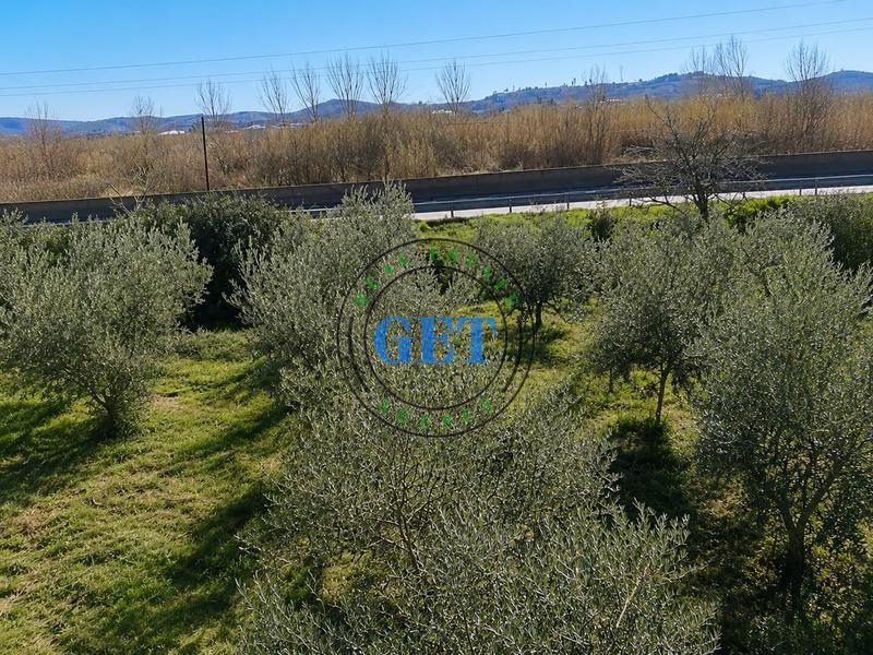 Terreno in vendita a Spitalle Tek "Fama Agroturizem", Durazzo, 3.150 m²