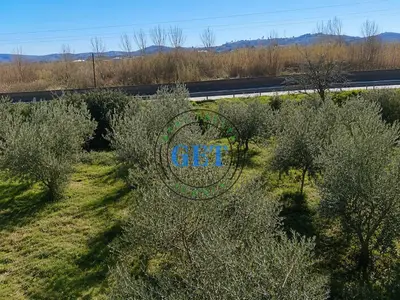 Land for sale in Maminas, Durrës, 3,150 m². Photo 1 of 6