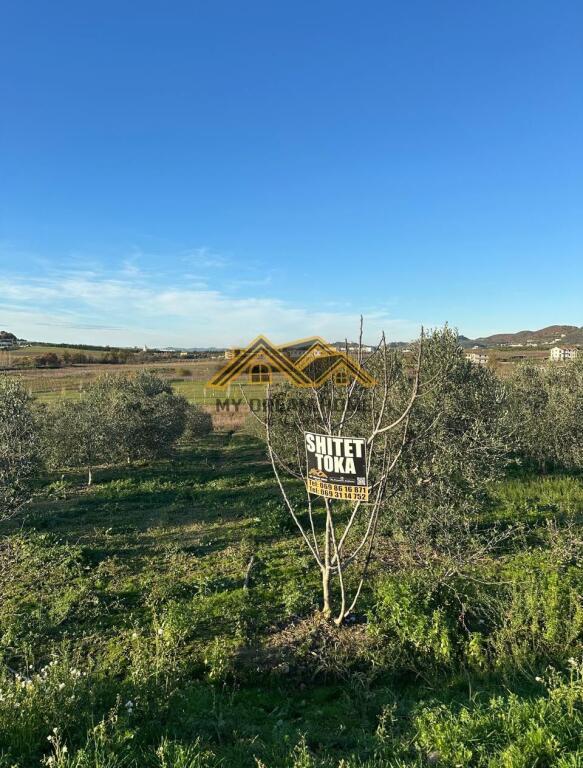 Tokë në shitje në Manez, Durrës, 6 350 m². Foto 9 nga 9