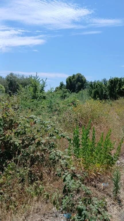 Tokë në shitje në Shetaj, Durrës, 1 800 m². Foto 1 nga 2