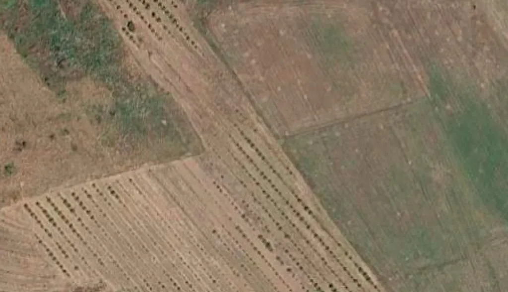 Land for rent in Vore, Vorë, 10,000 m². Photo 1 of 1