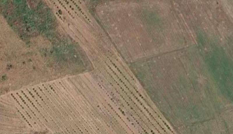 Land for rent in Vore, Vorë, 10,000 m²