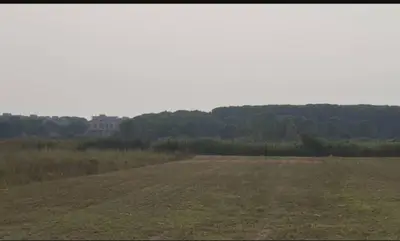 Tokë në shitje në Gjiri i Lalzit, Durrës, 8 000 m². Foto 4 nga 6